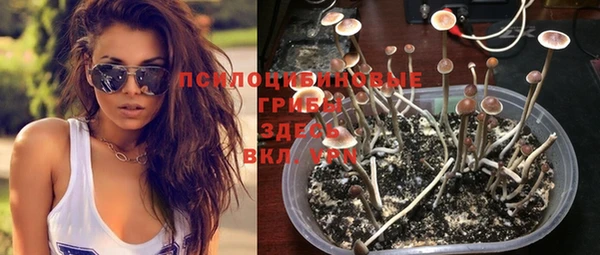 прущие крисы Бугульма