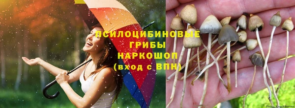 прущие крисы Бугульма