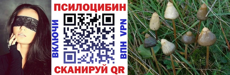 Псилоцибиновые грибы Magic Shrooms  Купить закладки  Ардон 